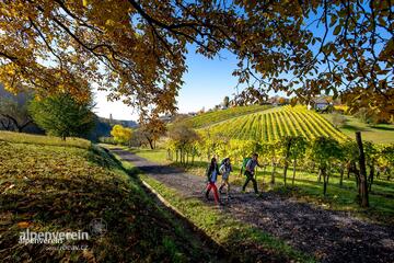 Alpenverein OEAV.CZ Steiermark