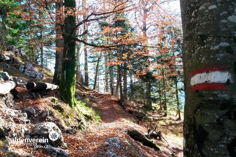 Příroda a kultura jezera Attersee I Alpenverein OEAV.CZ