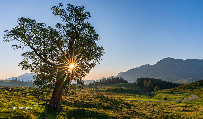 OEAV Objevte alpskou pohádku v Abtenau